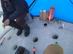 IMG_20190224_090511.jpg