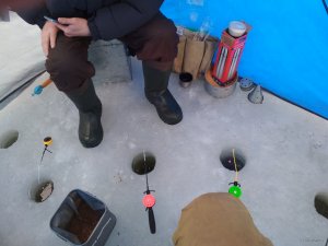 IMG_20190224_084009.jpg