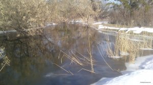 IMG_20190224_100941.jpg