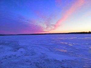 IMG_20190224_062348.jpg