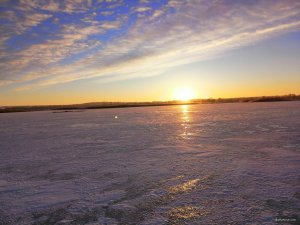 IMG_20190224_064753.jpg