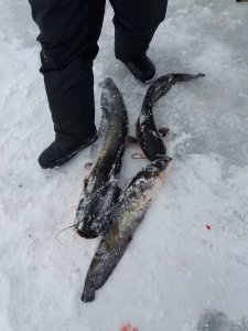 20190224_140727.jpg