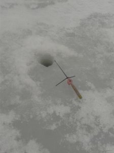 20190224_155116.jpg