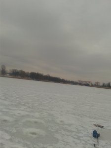 20190224_155122.jpg