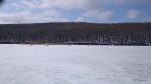 IMG_20190223_121935.jpg