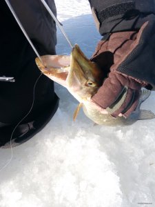 IMG_20190224_102941.jpg