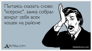 IMG-d14c73ac07384cc978f168b782853ff6-V.jpg