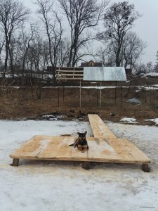 20190225_142647.jpg