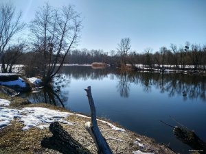 IMG_20190224_103153_HDR-01.jpeg