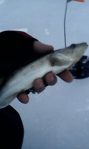 IMG_20190226_061214.jpg