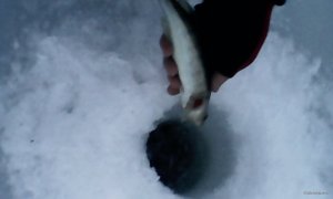 IMG_20190226_061231.jpg