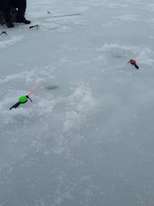 20190226_145751.jpg
