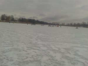 20190226_105638.jpg