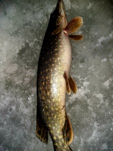 20190223_053325.jpg