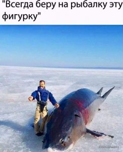 FB_IMG_1551242942973.jpg