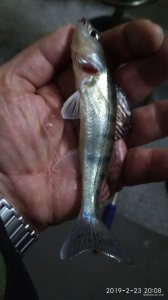 IMG_20190223_200836.jpg