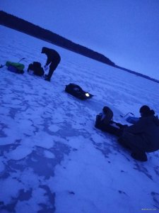 IMG_20190226_055715.jpg