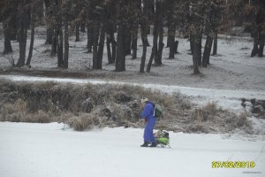 SAM_0225.JPG