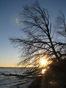 IMG_7641.JPG