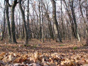 IMG_7720.JPG