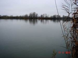10.JPG