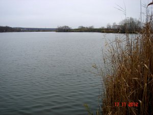 13.JPG