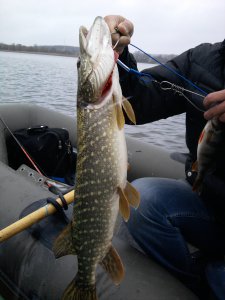 IMG_20121117_104731.jpg