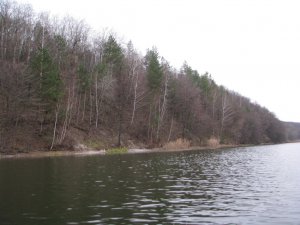 IMG_7805.JPG