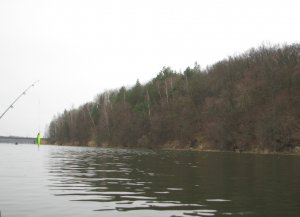 IMG_7816.JPG