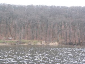 IMG_7809.JPG