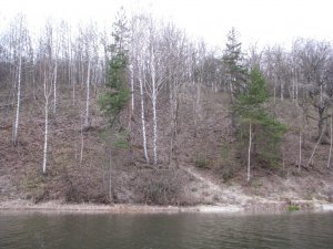 IMG_7803.JPG
