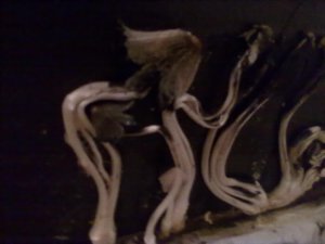 24112012038.jpg
