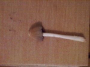 24112012039.jpg