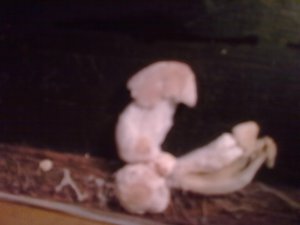 24112012041.jpg