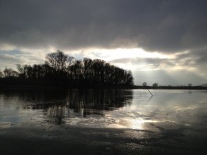 IMG_0142.JPG