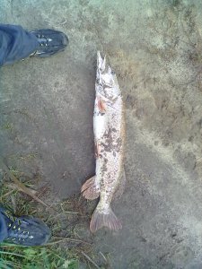 16102012322.jpg