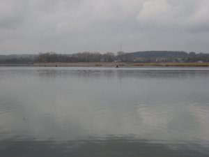 f347 003.jpg