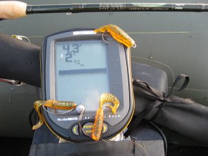 f347 027.jpg