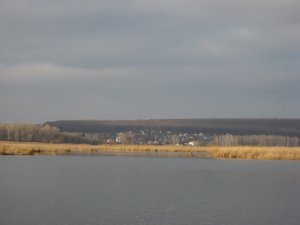 f347 021.jpg