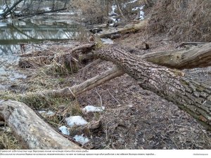 IMG_20190227_153736_HDR.jpg