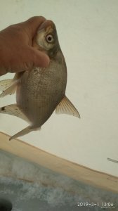 IMG_20190301_130628.jpg