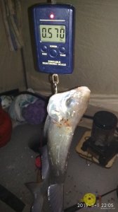 IMG_20190301_220525.jpg