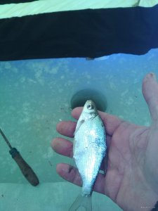 IMG_20190302_145027.jpg