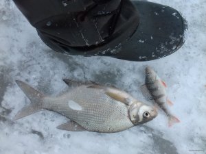 20190302_075254.jpg