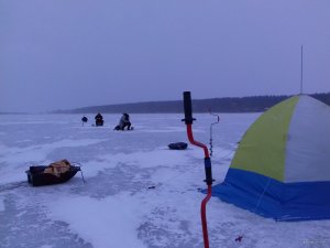 20190302_061720.jpg