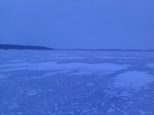 20190302_061711.jpg