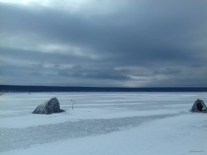 20190302_134726.jpg