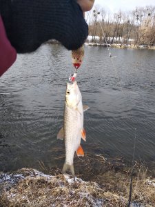 IMG_20190302_095855.jpg