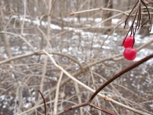 IMG_20190302_121946.jpg