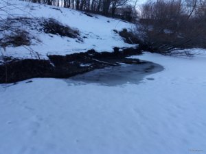 20190302_155412.jpg